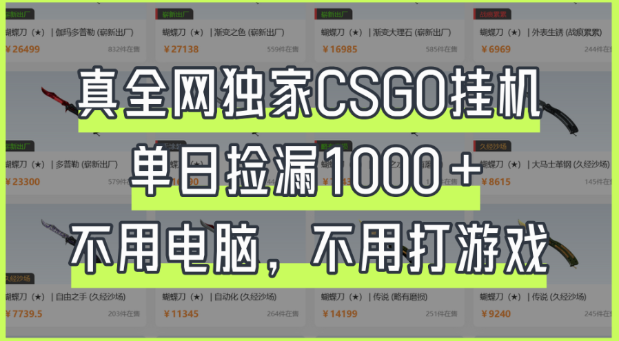 真全网独家CSGO挂机，单日捡漏1000+
