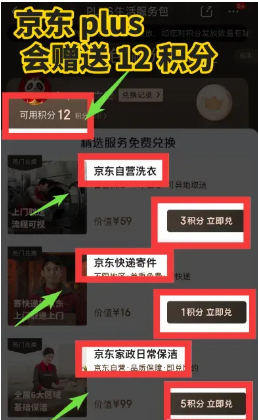 揭秘京东Plus积分“搬运工”:新手也能做的轻资产副业,日入几百真不难(附完整攻略)