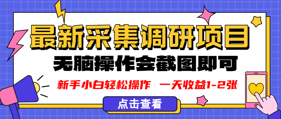 解读“新版采集调研项目”：简单任务与代理模式的副业分析