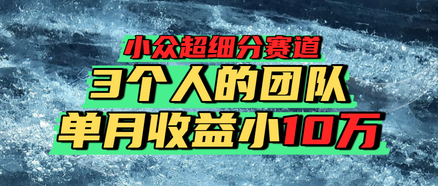 细分领域掘金：探索小众兴趣社群的运作逻辑、收益潜力与风险
