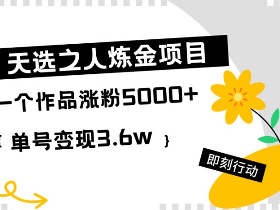 天选之人炼金项目，一个作品涨粉5000+，单号变现3.6w