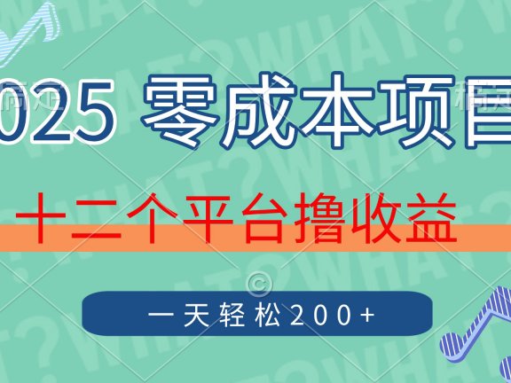 2025年零成本项目,十二个平台撸收益,单号一天轻松200+