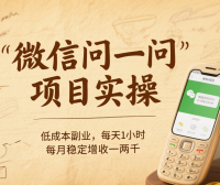 微信问一问项目实操：低成本副业，每天1小时，每月稳定增收一两千