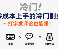 零成本上手的冷门副业，打字发评论也能赚钱！